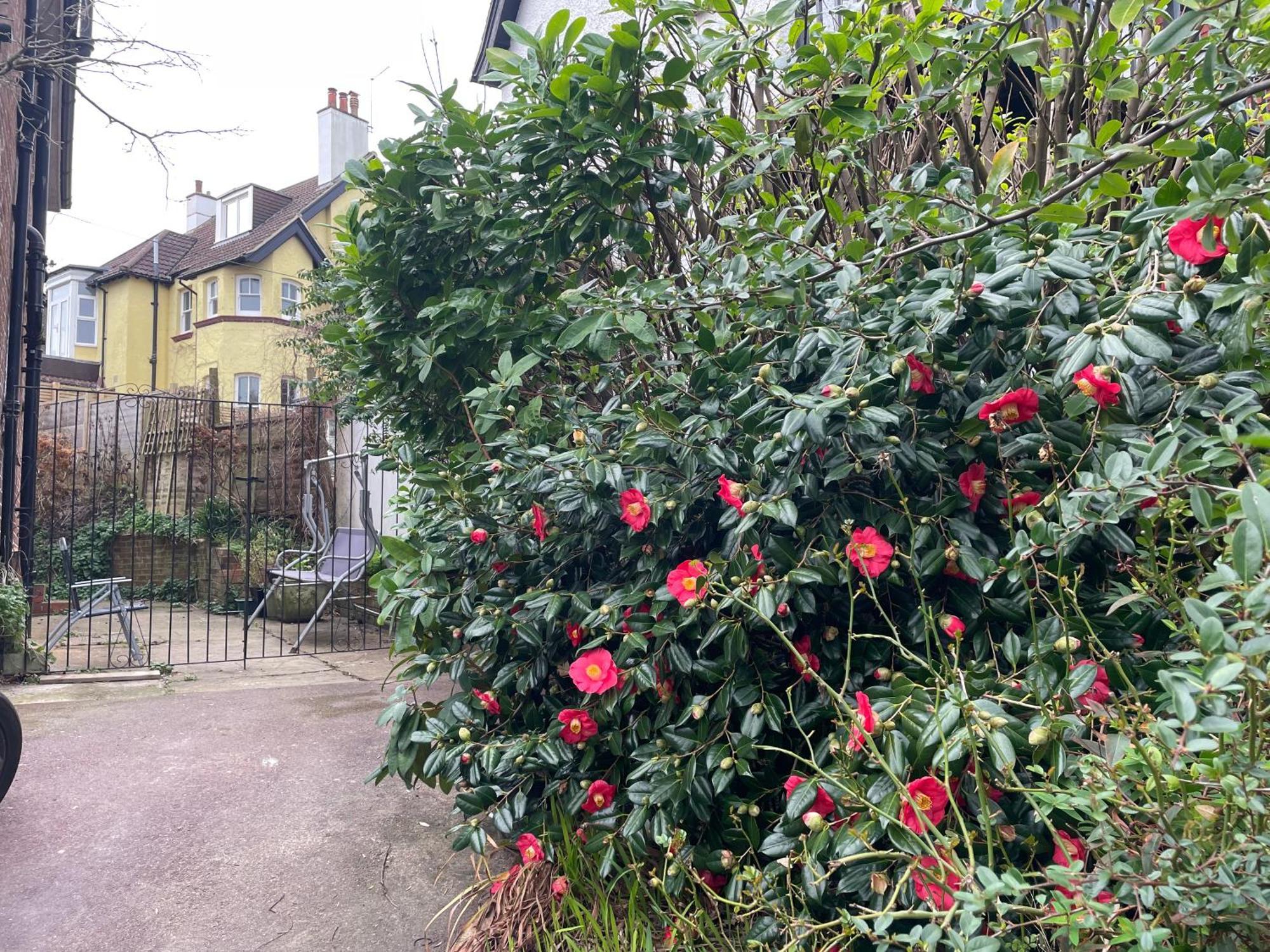 Bed and Breakfast Livadia House At St Leonards On Sea Экстерьер фото